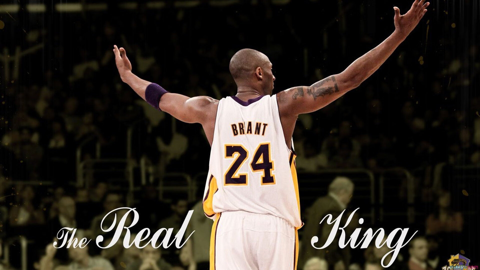 _猛龙队稳扎稳打，收获关键胜利_，猛龙队员